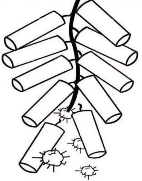 鞭炮图片简笔画鞭炮简笔画简笔画图片