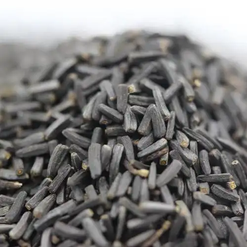 黑心菊种子包邮松果菊非洲菊种子波斯菊各种菊花包邮