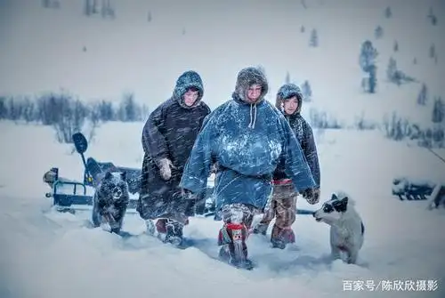 北极圈的孤独与梦幻