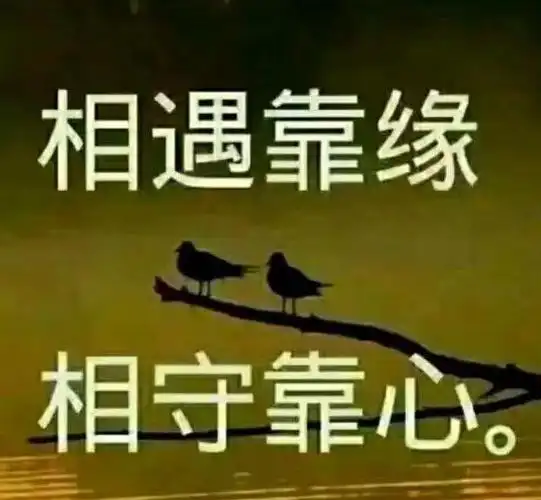 人与人因缘而聚,因情而暖,因不珍惜而散!相遇靠缘,相守靠心!