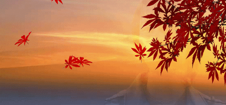 829_385gif 动态图 动图