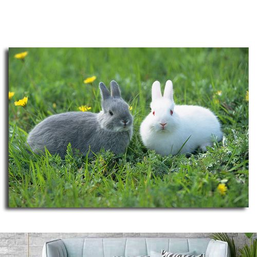 兔子海报小白兔灰兔儿童房可爱动物壁画早教图片装饰画墙贴画1045