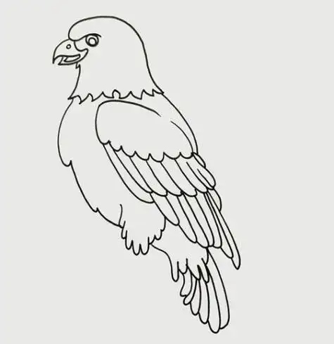 老鹰简笔画怎么画图片大全老鹰简笔画超详细教程