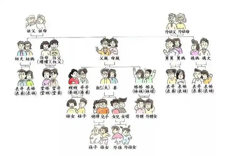 中国亲戚关系图表超实用的中国亲戚称谓导图
