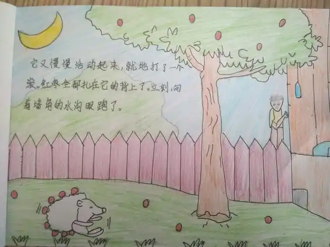 三年级七班最美绘本评选