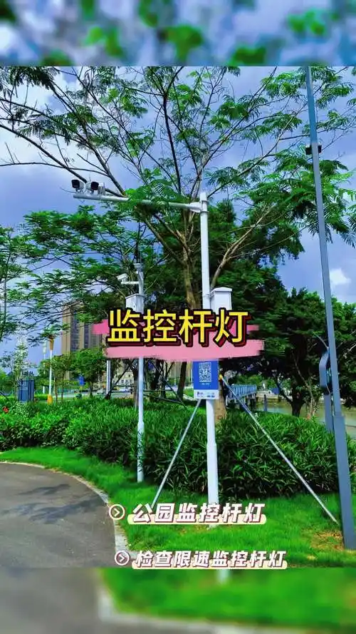公园监控杆灯生产厂家