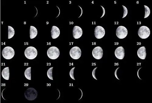 初一到三十一的月亮形状.