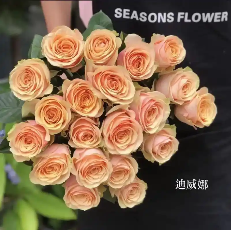 迪威娜玫瑰.品名【迪威娜玫瑰】 9797 20枝,冷链/空运 - 抖音