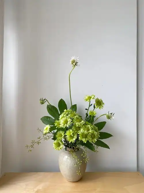 超简单的雏菊插花要不要了解一下附步骤