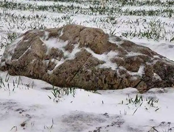 全球最矮的山!海拔不到1米却无人攀登成功!被列为重点保护文物