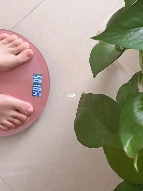 净身高170一直维持体重100斤进入深夏还想再瘦五六斤