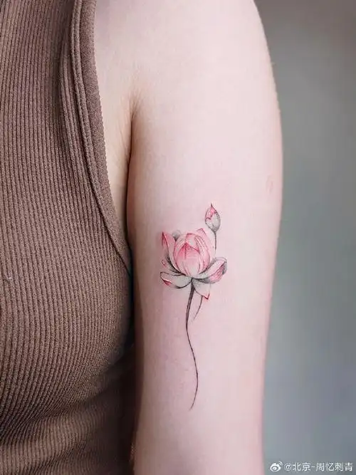 图案分享莲花纹身艺术#纹身分享##纹身设计##北京纹身店##女生纹身
