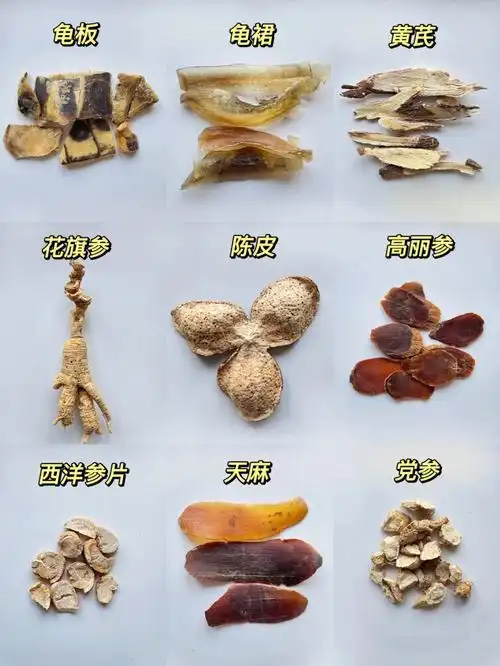 家庭常用的补益中药详解值得收藏