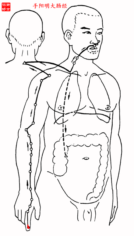 十二经脉,奇经八脉循行的图文介绍