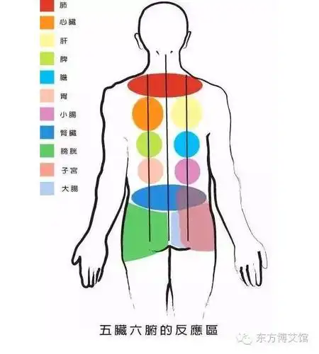 秋后做背,人活百岁