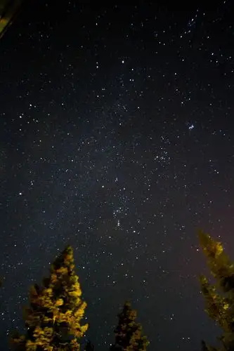 天上又多了一颗星星 希望你能保佑我们这些晚辈 平安快乐 / 大姨夫