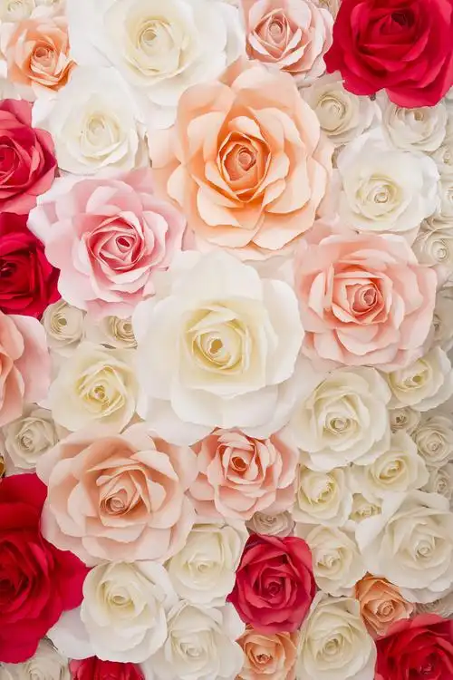 花朵图片-夕阳下的黄色花朵素材-高清图片-摄影照片-寻图免费打包下载