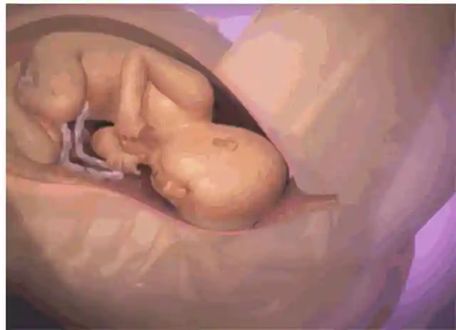 原创有人说顺产如女人到鬼门关走了一遭,为何女人生孩子会如此疼痛?