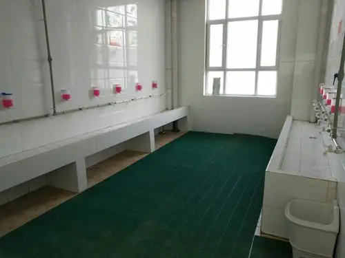 我爱学校,还有她! ――小胡杨小学三进两联一交友侧记