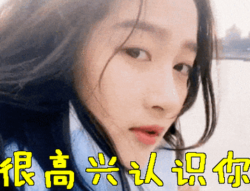 很高兴认识你gif