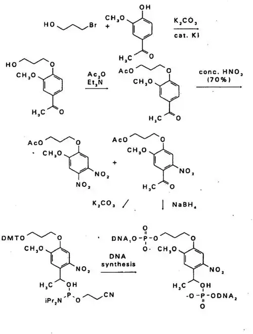 high density immobilization of nucleic acids