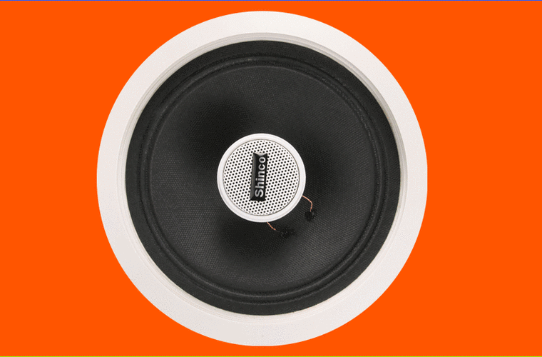 新科(shinco) 蓝牙吸顶喇叭 吊顶音响套装嵌入式同轴家庭音箱功放一体