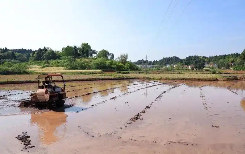 五一来了,你准备干什么?