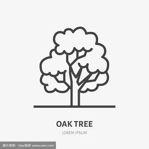 橡树平线图标.矢瘦园植物标志,生态标志.自然插画,森林象征