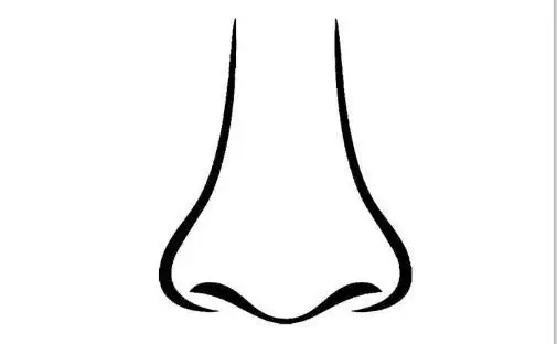 男生正面鼻子简笔画