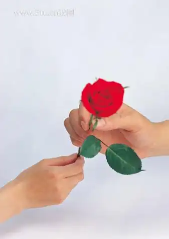 送玫瑰的手势图