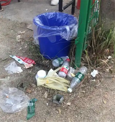 游客这些不文明行为让景区很"受伤"