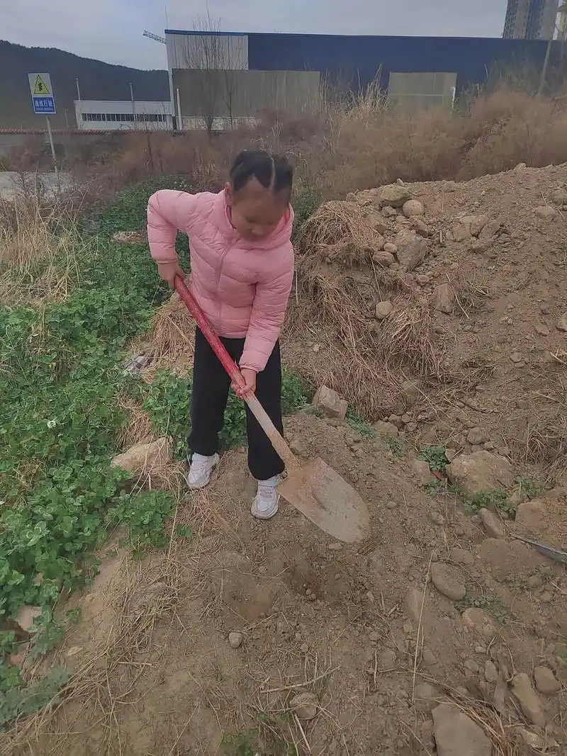 陪小朋友一起完成"我和小树共成长."为主题的植树护树活动,! - 抖音