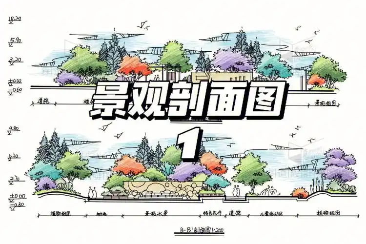 景观剖面图画法彩铅表现