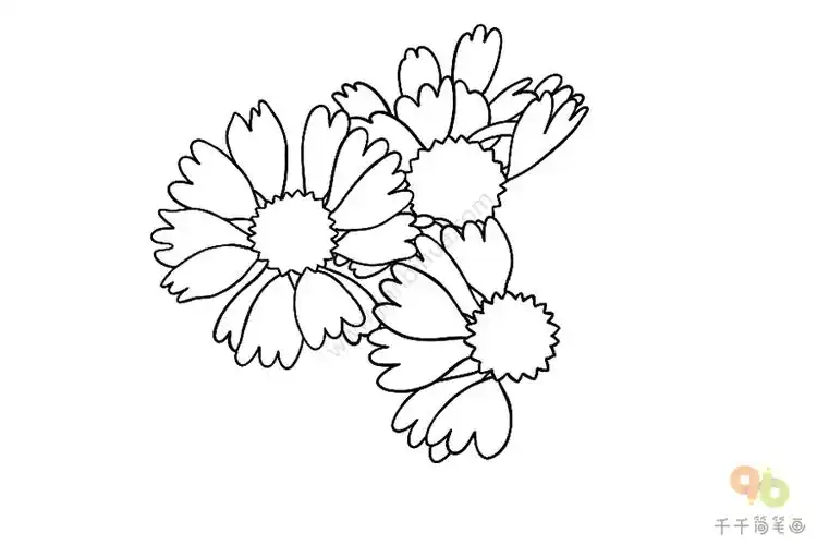 天人菊简笔画怎么画
