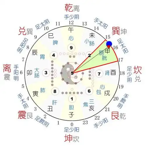 人体经络运行图www.zgmjyxw.com