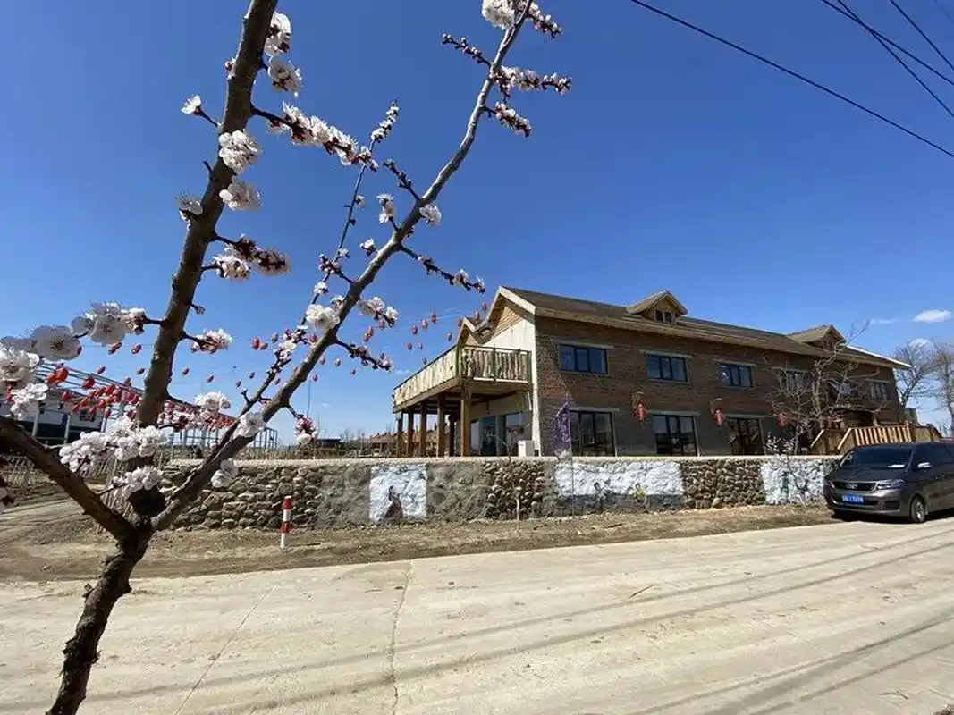 沈阳市沈北新区单家村:做对两件事 圆了一个梦#振兴新突破辽宁杠杠滴