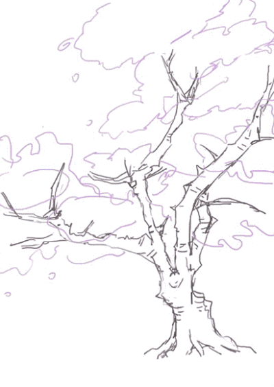 粉色樱花树动漫板