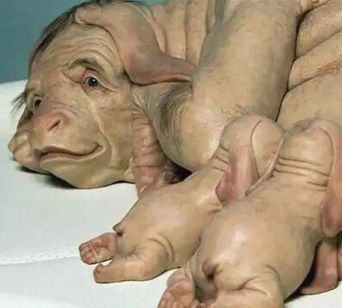 日本培育出半人半猪拥有人类器官随时取出到底准备做什么