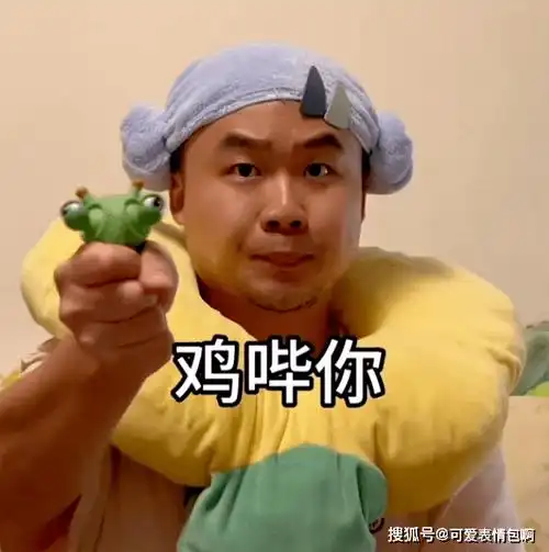 鸡哔你!表情包合集_侵权_网络_素材