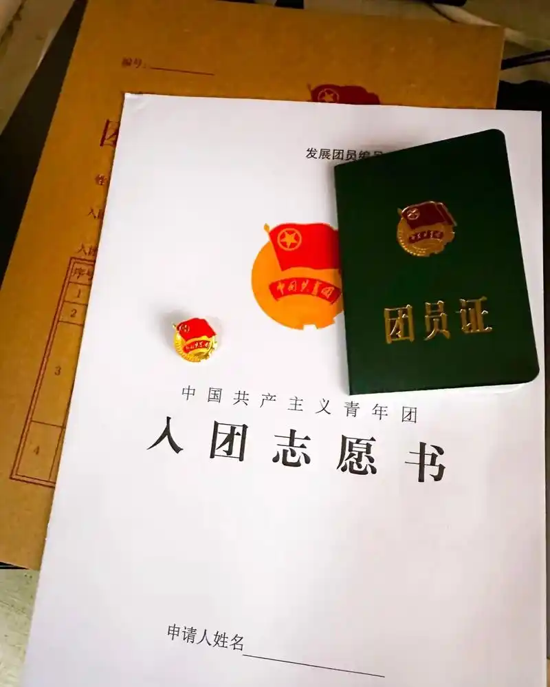 别人14岁完成的,我在16岁也完成了 戴上团徽,拿着团员证, - 抖音