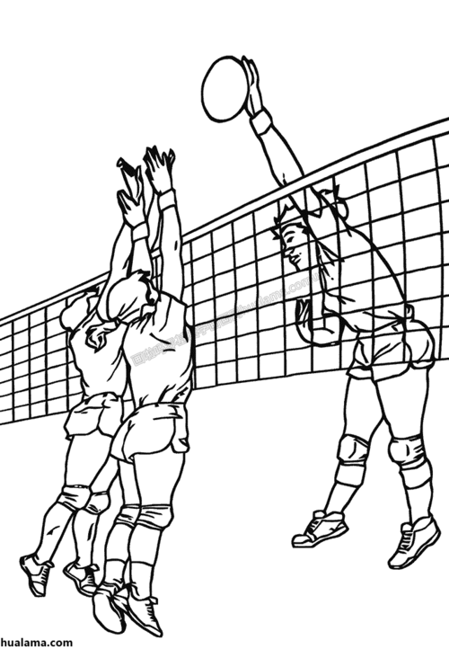 一群人物在沙滩玩排球比赛简笔画图片