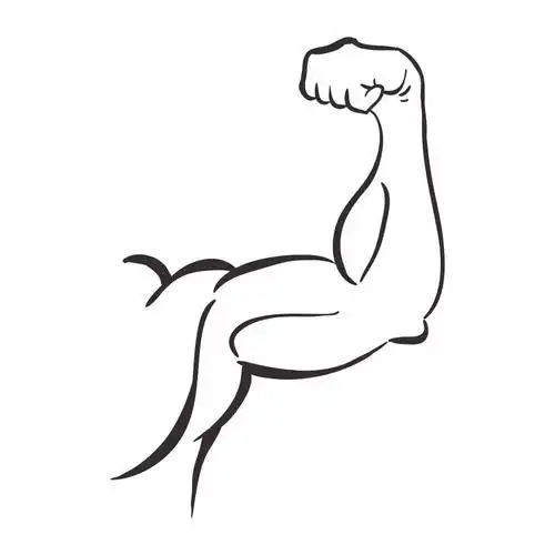 图片 插画 人体腹部肌肉矢量设计