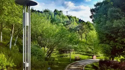 天然氧吧!绿色生态系统