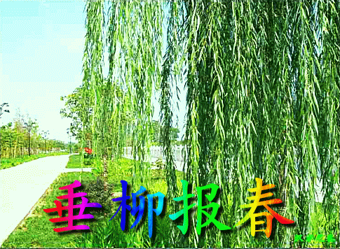 诗词曲 咏春/月牙儿