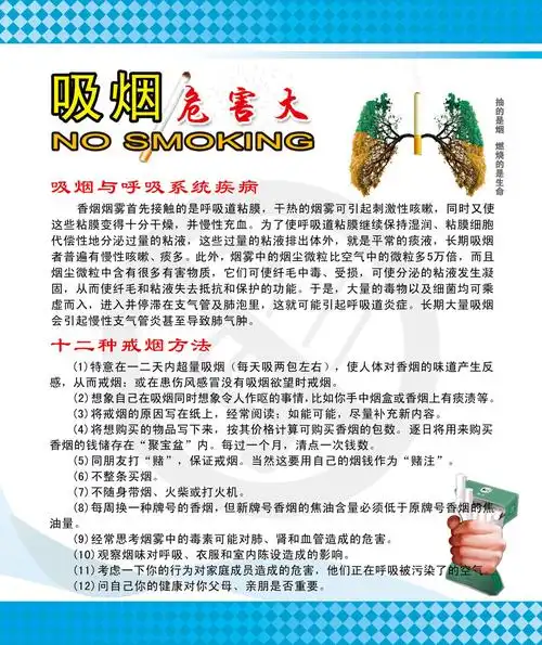 吸烟的危害展板