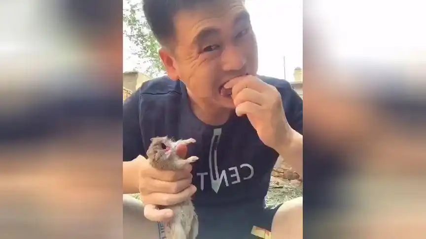 男子生吃死老鼠,来人啊我捐5亿精兵哪个兄弟去把这货收了吧,太辣眼睛