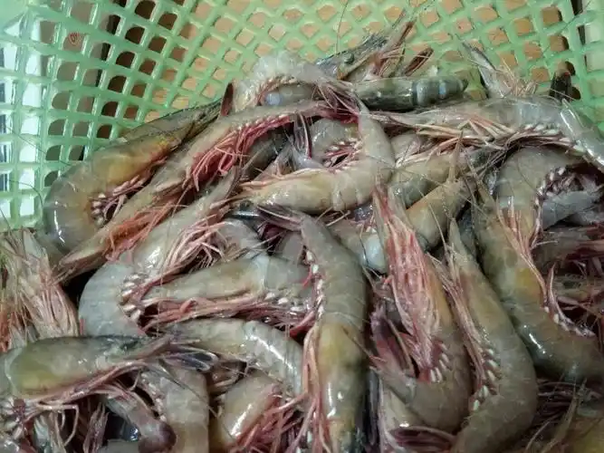 我的美篇 - 美篇