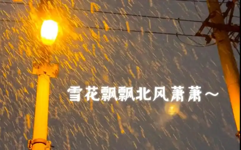 我期待的不是雪 而是再也不上学