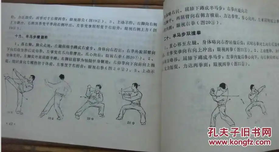 螳螂拳伏虎拳