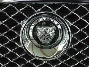 今天在街上看到一辆老虎头车标的车,好霸气.是什么牌子的车